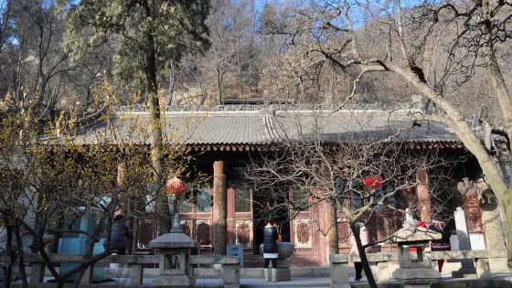 大垌山凈業寺