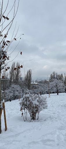 塞格门勒公园-安卡拉