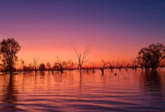 Lake Pamamaroo景点图片