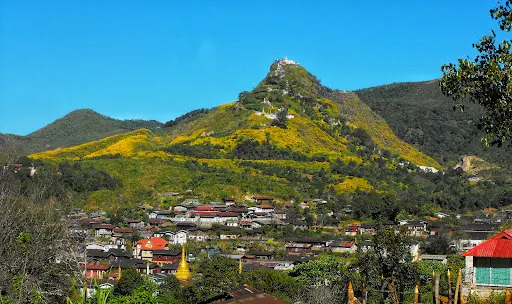 蜘蛛山