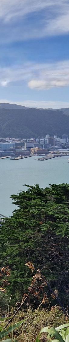 维多利亚山-惠灵顿