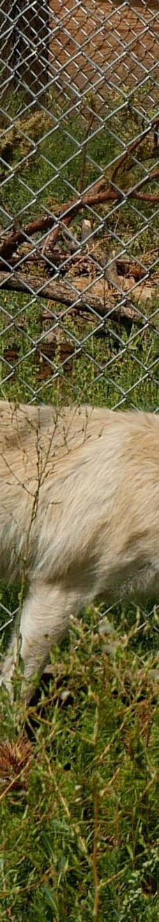 大熊湖动物园-大熊湖