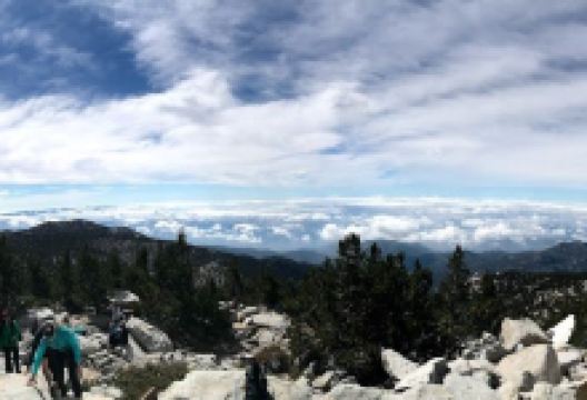 Cactus to Clouds景点图片