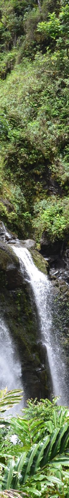 Upper Waikani Falls-茂宜县