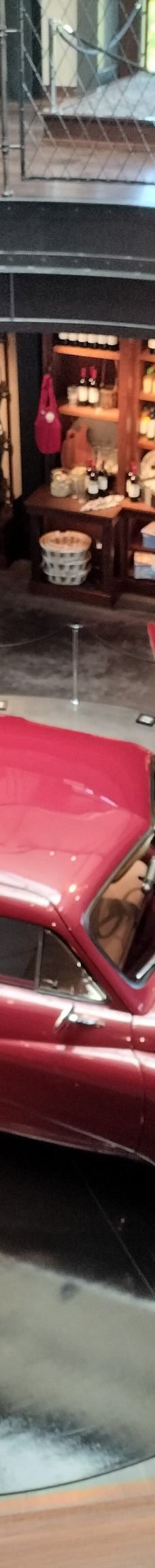 Francis Ford Coppola Winery-索诺马县