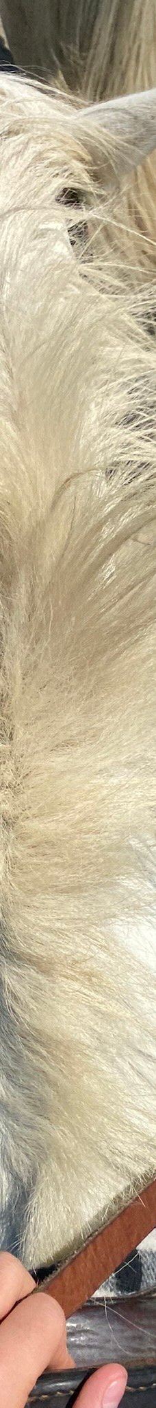 Domaine de la Palissade-阿尔勒