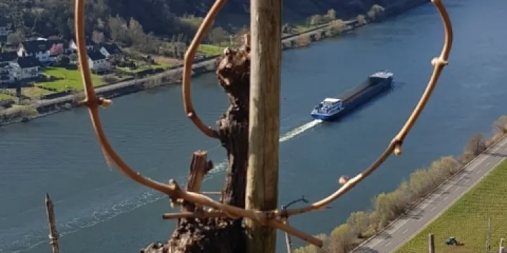 Weingut Ulrich Langguth