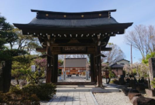 愿成寺景点图片