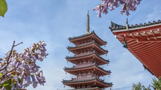 津観音寺
