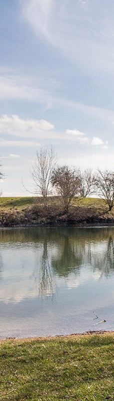 Eichenauer See-艾歇瑙