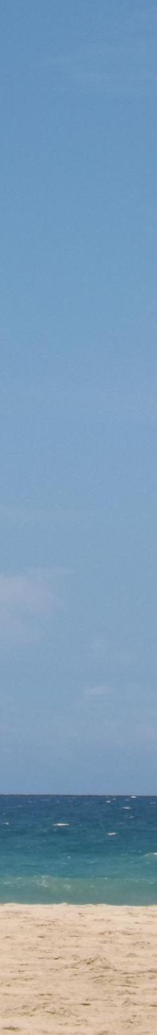 Narigama Beach-希克杜沃