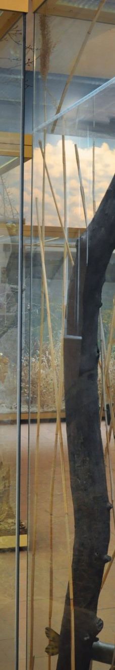 Pardubice Castle - The East Bohemia Museum in Pardubice-帕尔杜比采