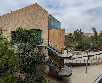 Ceart Tijuana
