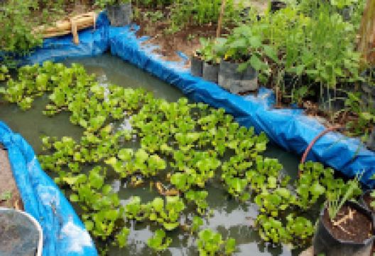 Parnagabosi Hutahaean景点图片