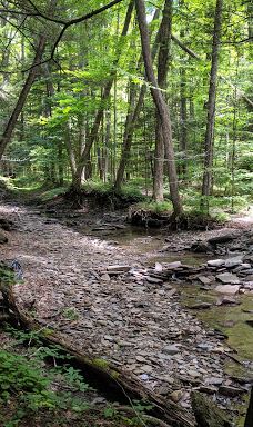 Jones Park-维斯塔