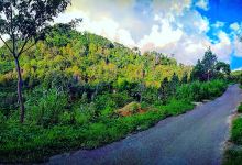 Puncak Mayong - ꦥꦸꦚ꧀ꦕꦏ꧀ꦩꦪꦺꦴꦁ景点图片