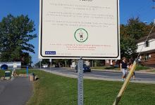 Parc des Génerations景点图片