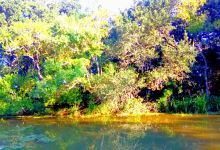 Oak Ridge Community Park景点图片
