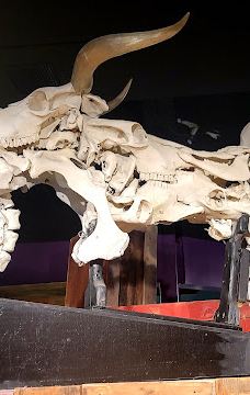 Ripley's Believe It or Not! World of Adventure-纽波特