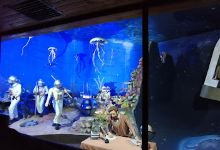Museo: El Hombre en el Universo景点图片