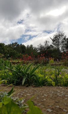 The Edge Labyrinth-阿玛索雷区自治市