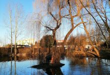 Liebsdorfer Ententeich景点图片