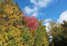 Blueberry Mountain Trailhead景点图片