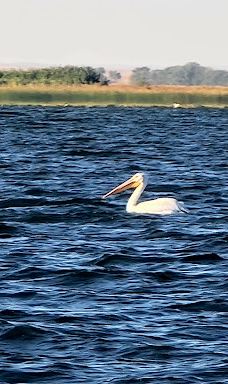 Glen Elder State Park-格伦埃尔德