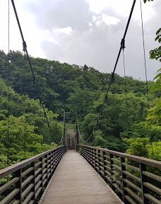 Kinbo Shrine-仁贺保市