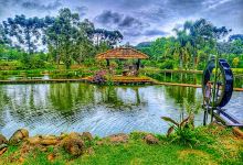 Caminho das Flores, Cores e Sabores- Familia Sbeghen景点图片