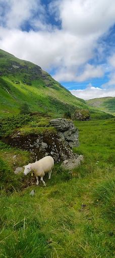 Holedalen-沃塞斯特兰