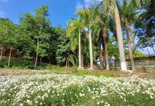 Bể bơi khoáng nóng Thanh Luông景点图片