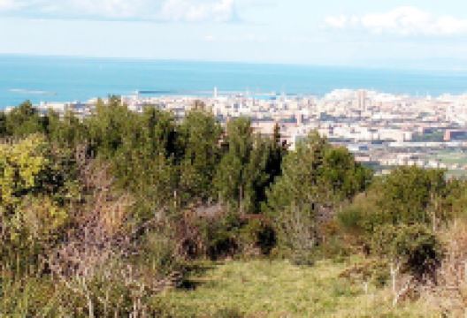 Castellaccio景点图片