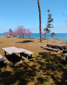 Camping Ground-仁贺保市