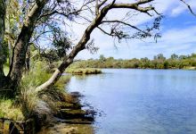 Leicester Reserve景点图片