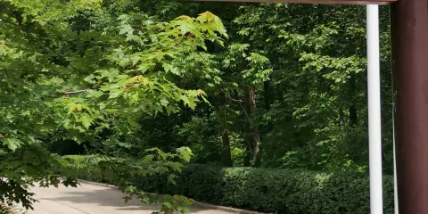 青山國家森林公園-薰衣草莊園