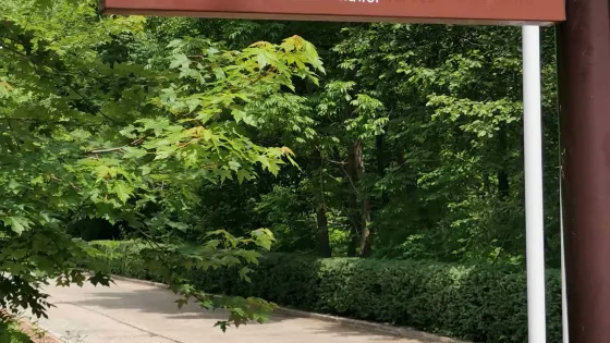 青山國家森林公園-薰衣草莊園