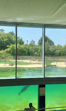 Seehundstation und Waloseum-诺德代希