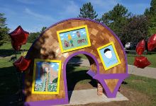Little Free Library at McHattie Park景点图片