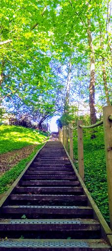 Tyrelodspynten-瓦埃勒