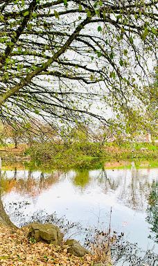 Waverly Park Parking-奥尔巴尼