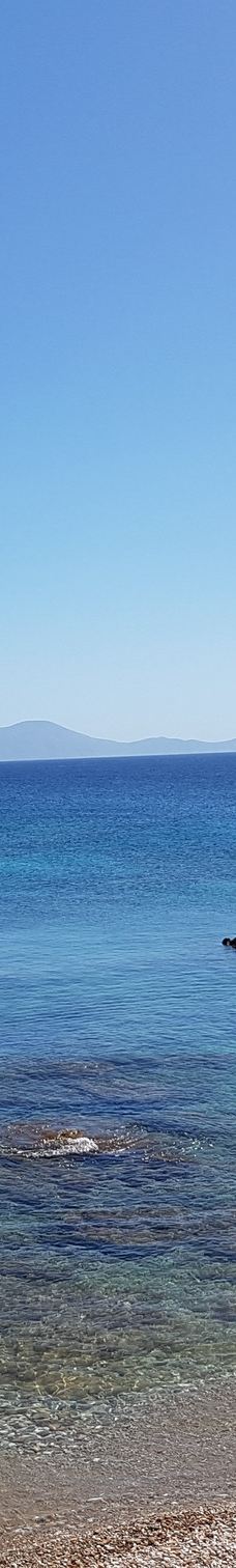 Cedar Forest of Alyko-纳克索斯