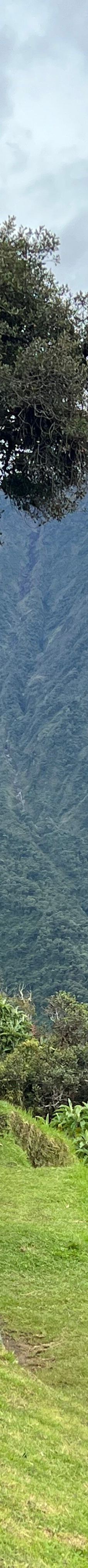 La Casa del Arbol-巴尼奥斯县