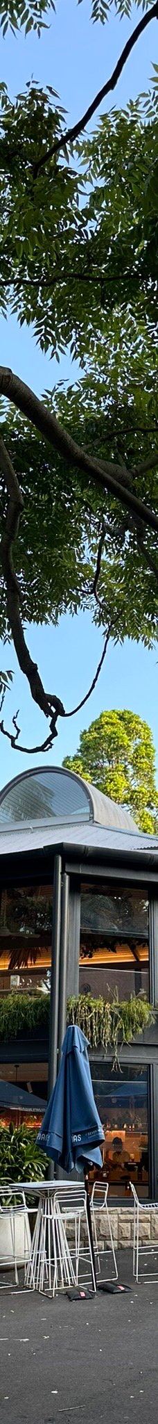 悉尼皇家植物园-悉尼