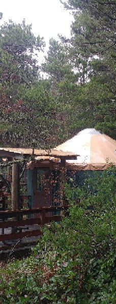 South Beach State Park-纽波特