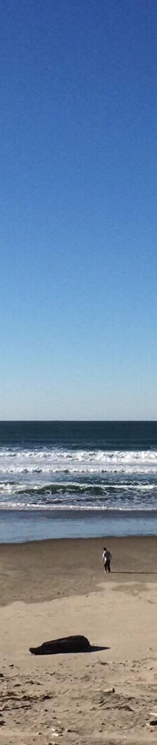 South Beach State Park-纽波特