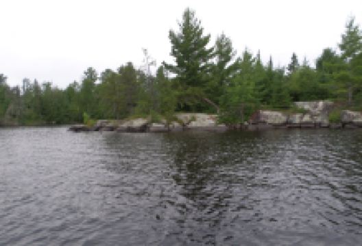 Birch Lake Rd景点图片