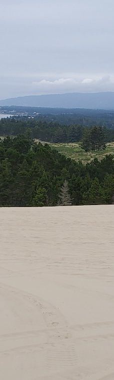 Sandland Adventures Inc-雷恩县