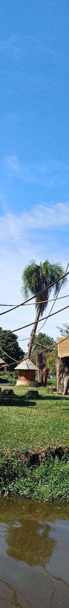 Parque Zoologico Municipal Quinzinho De Barros-索罗加巴