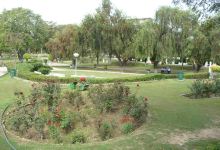 Rose garden Bathinda景点图片